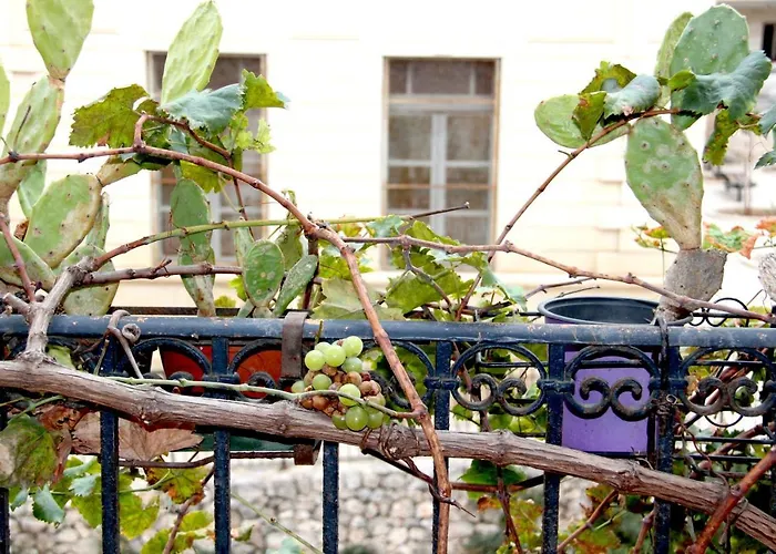 Naiadi Ortigia Vakantiehuis Syracuse